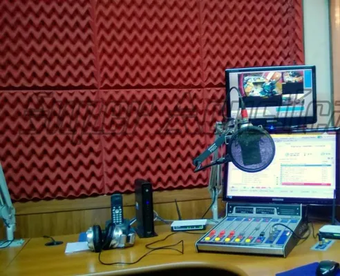 Espuma Acústica Lisa