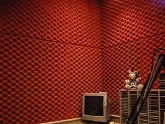 Espuma Acústica Para Estudio